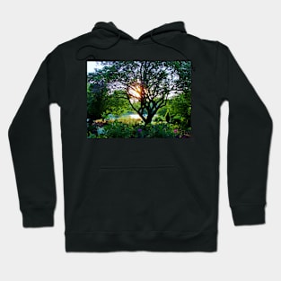 Sun In The Garden Hoodie